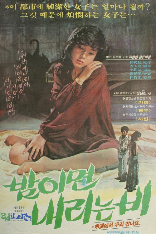 Movie poster for The Rain at Night (1979)