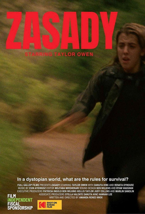 Movie poster for Zasady