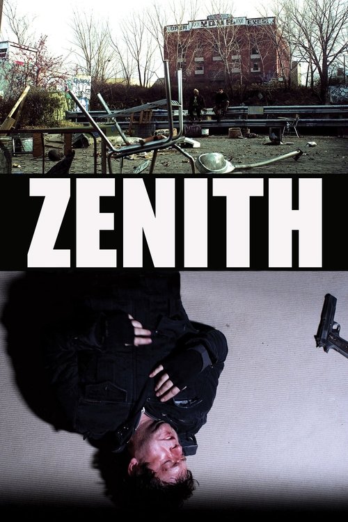 Movie poster for Zenith (2010)