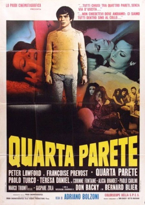 Movie poster for The Fourth Wall (1969)