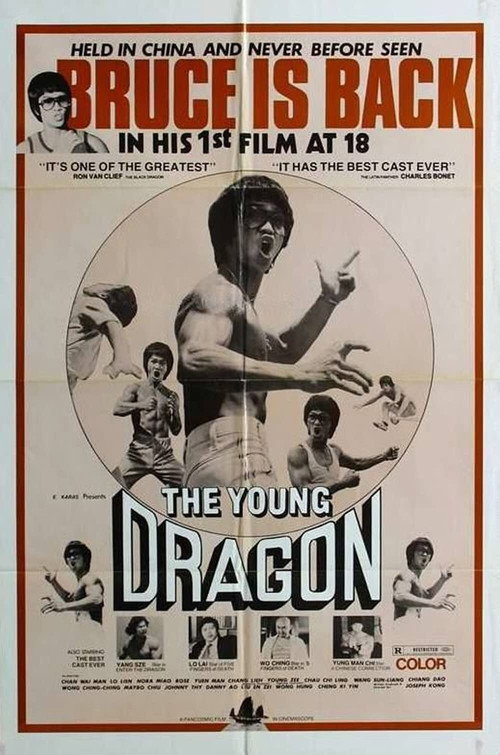 Movie poster for Young Dragon (1979)
