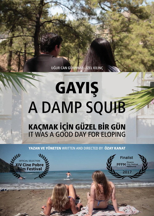 Movie poster for A Damp Squib (2017)
