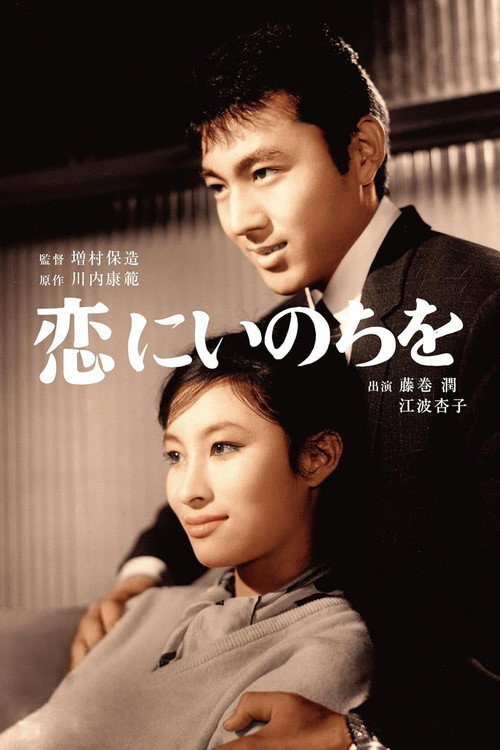 Movie poster for Love and Life (1961)
