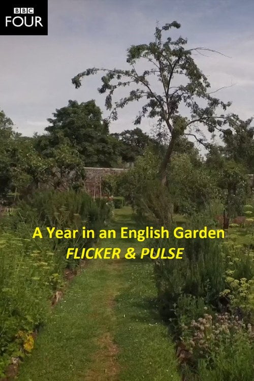 Movie poster for Flicker & Pulse (2016)