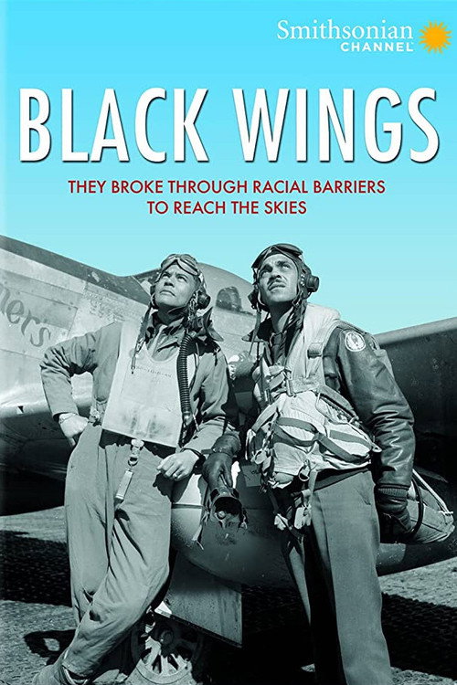 Movie poster for Black Wings (2012)