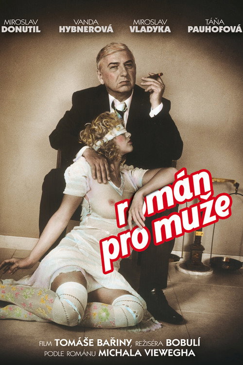 Movie poster for Román pro muže (2010)