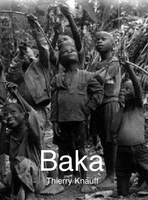 Movie poster for Baka (1995)