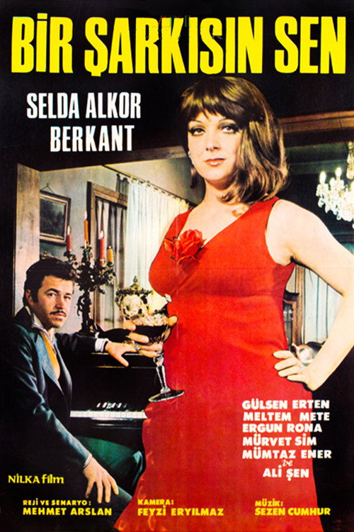 Movie poster for Bir Şarkısın Sen (1969)