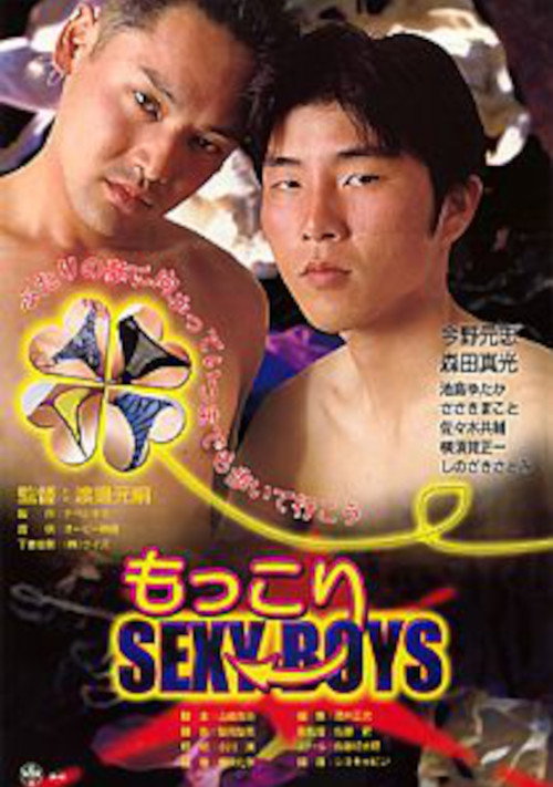 Movie poster for The Silk & The Secrets (2001)