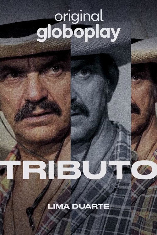 Movie poster for Tributo: Lima Duarte (2024)