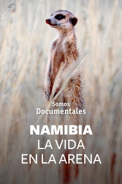 Movie poster for Namibie, la vie des sables (2022)