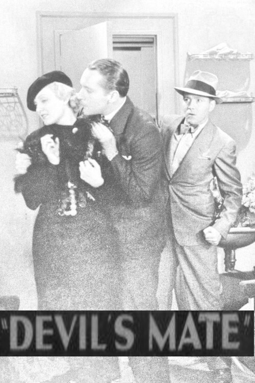 Movie poster for The Devil's Mate (1933)