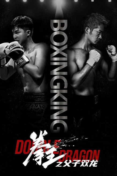 拳王之父子双龙 poster