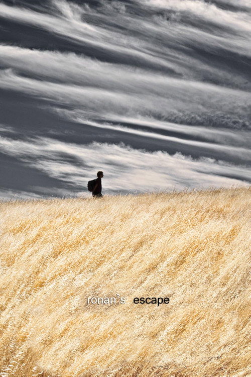 Movie poster for Ronan's Escape (2010)