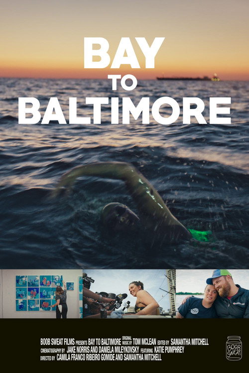Movie poster for Bay to Baltimore (2025)