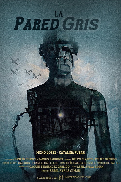 Movie poster for La pared gris