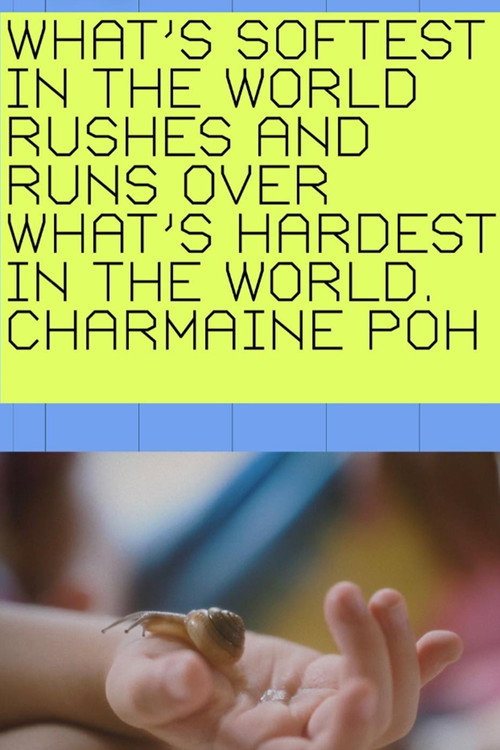 Movie poster for What's softest in the world rushes and runs over what's hardest in the world. (2024)