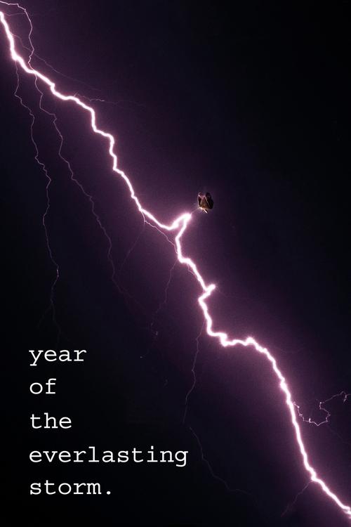 Movie poster for The Year of the Everlasting Storm (2021)