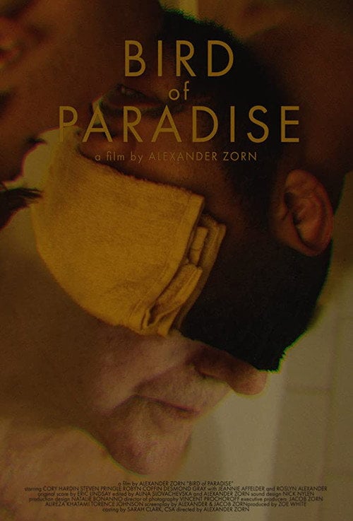 Movie poster for Bird of Paradise (2019)