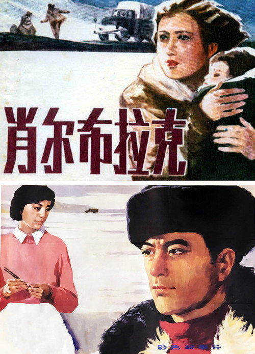 Movie poster for 肖尔布拉克 (1984)
