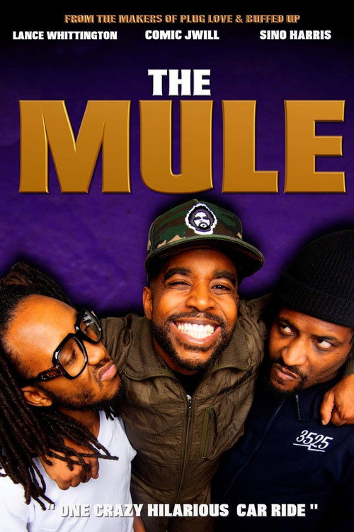Movie poster for The Mule (2020)