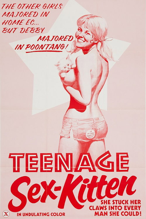 Movie poster for Teenage Sex Kitten (1975)