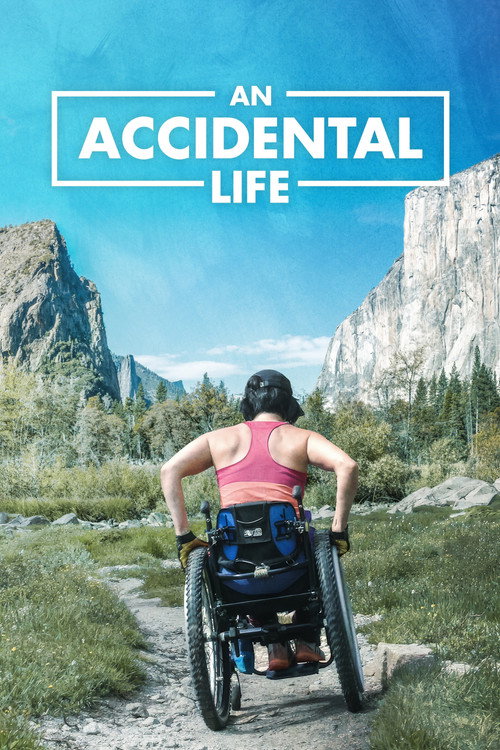 Movie poster for An Accidental Life (2022)