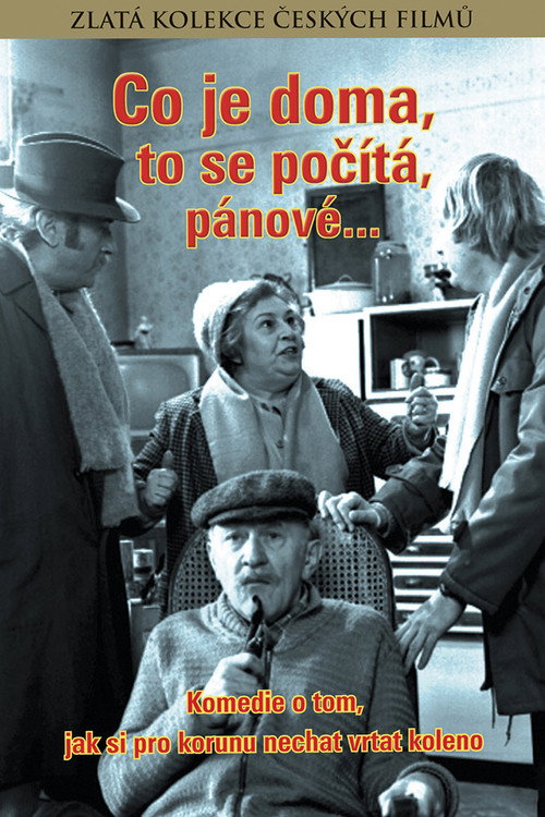 Movie poster for Co je doma to se počítá, pánové... (1980)