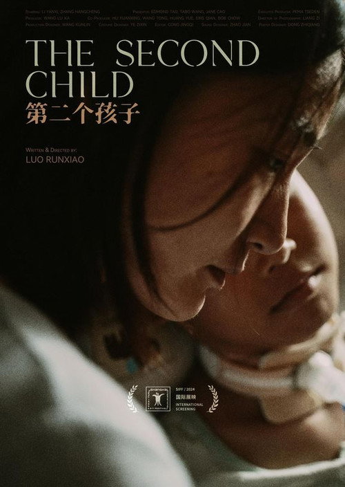 Movie poster for The Second Child (2024)