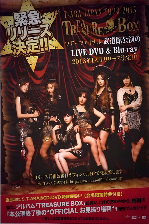 Movie poster for T-ARA Japan Tour 2013 - Treasure Box- 2nd TOUR FINAL In Budokan (2013)