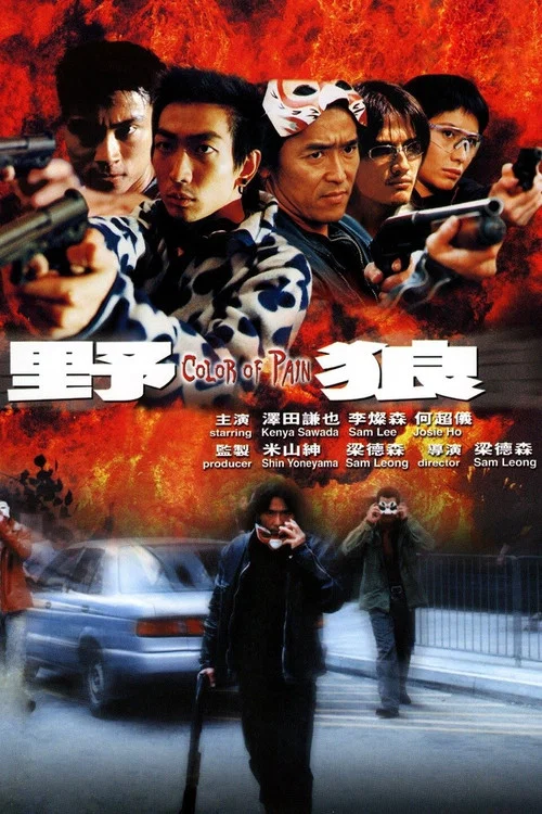 Movie poster for Color of Pain (2002)