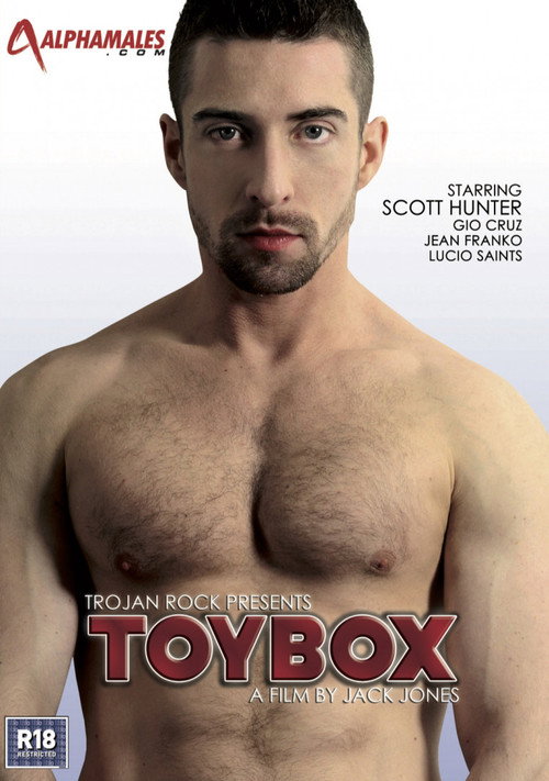 Movie poster for ToyBox (2012)