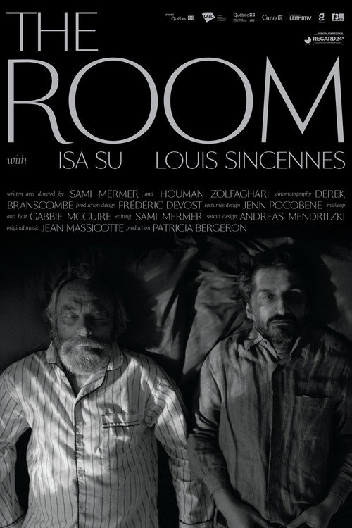 Movie poster for The Room