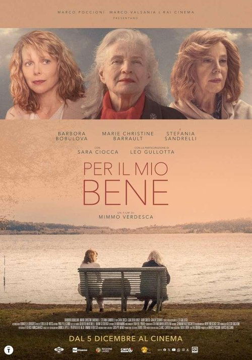 Movie poster for Per il mio bene (2024)