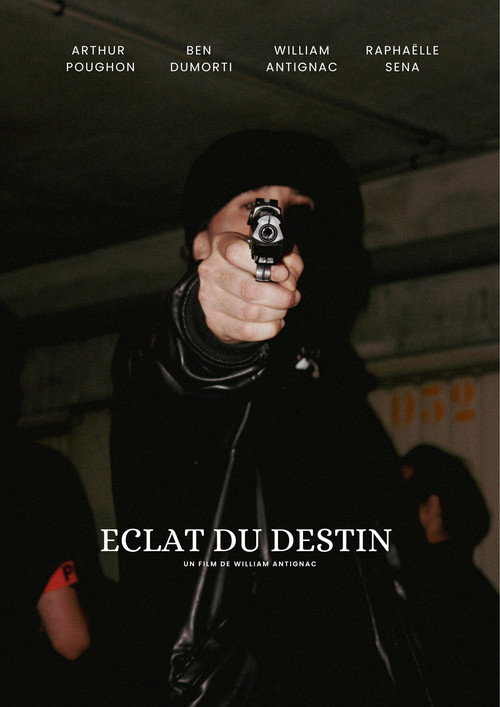 Movie poster for Éclat du destin (2024)