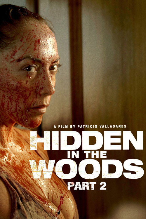 Movie poster for Hidden in the Woods 2