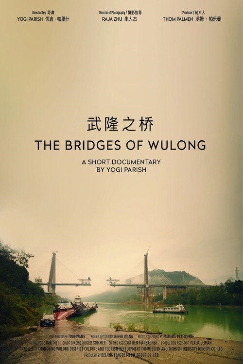 Movie poster for The Bridges Of Wulong (2024)