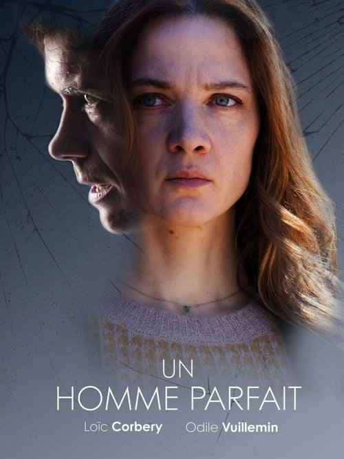 Movie poster for Above Suspicion (2019)