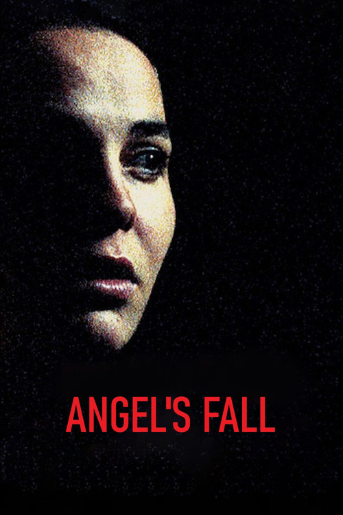 Movie poster for Angel's Fall (2005)