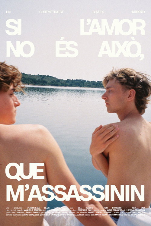 Movie poster for Si l'amor no és això, que m'assassinin