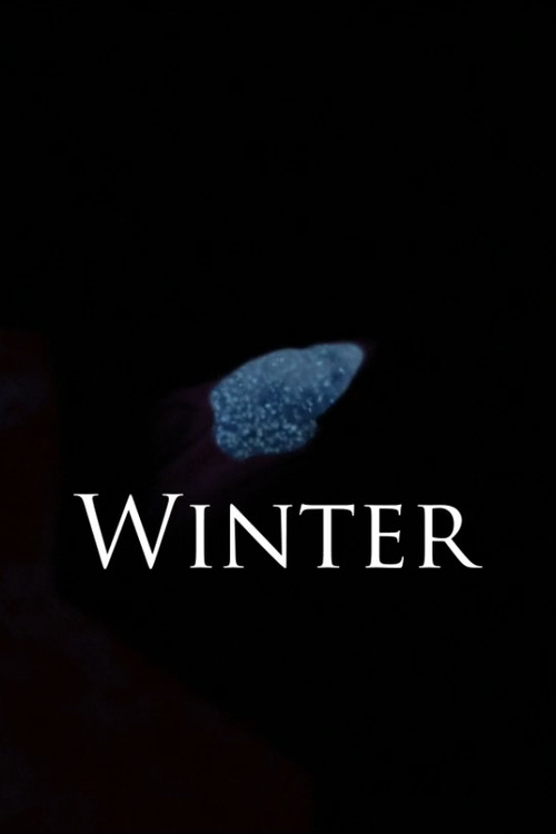 Movie poster for Winter (2020)