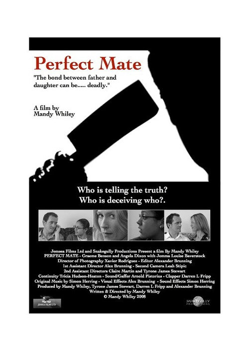 Movie poster for Perfect Mate (2009)