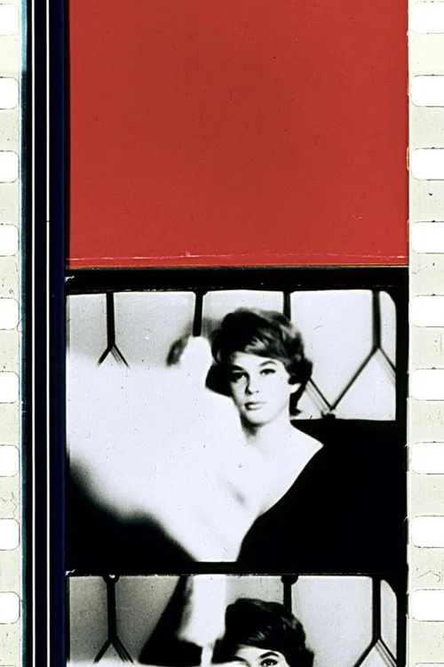 Movie poster for Schwechater (1958)