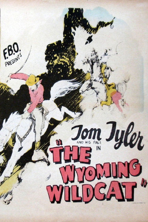 Movie poster for The Wyoming Wildcat (1925)
