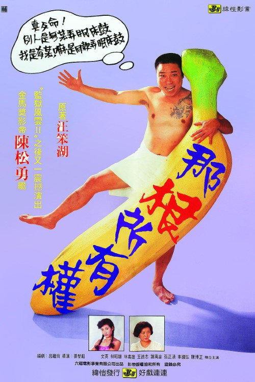 Movie poster for Ownership of Nagen (1991)