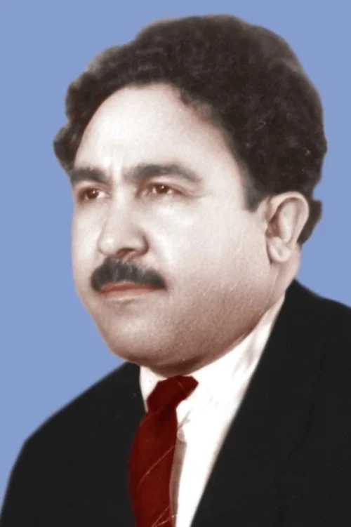 Photo of Islam Safarli, Writing