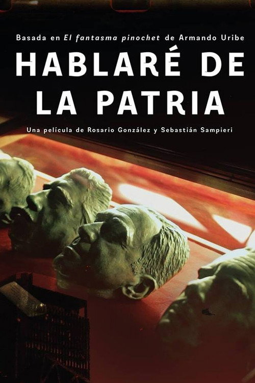 Movie poster for Hablaré de la patria (2019)
