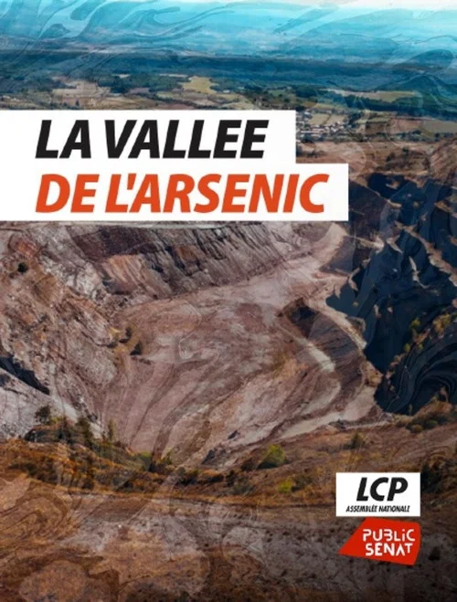 Movie poster for La vallée de l'arsenic (2026)