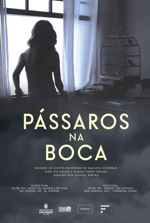 Movie poster for Pássaros Na Boca (2016)