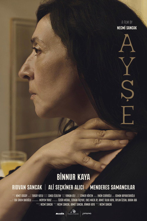 Movie poster for Ayşe (2024)